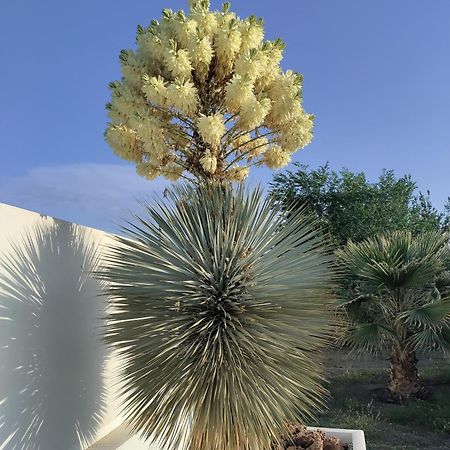 Cortijo Oro Verde B&B タベルナス エクステリア 写真